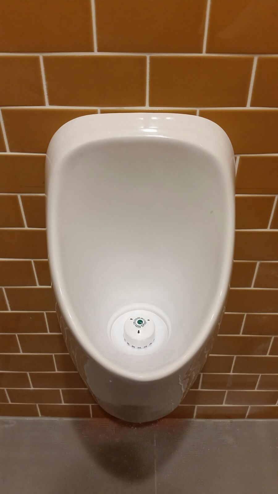 ecobug Urinal Caps im Urinal